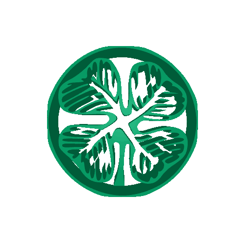 Lucky Shamrock NFT Preview